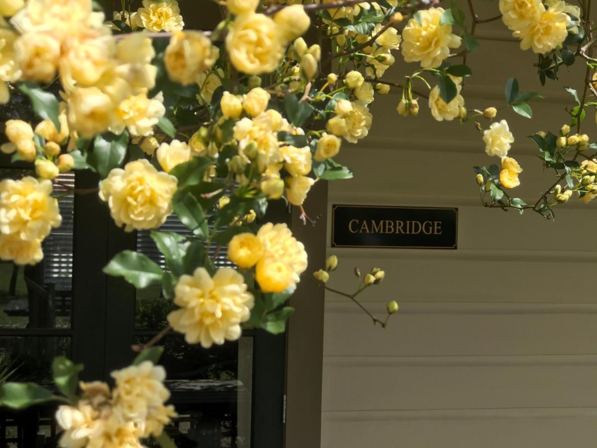 Pinot Villas Martinborough Exterior photo
